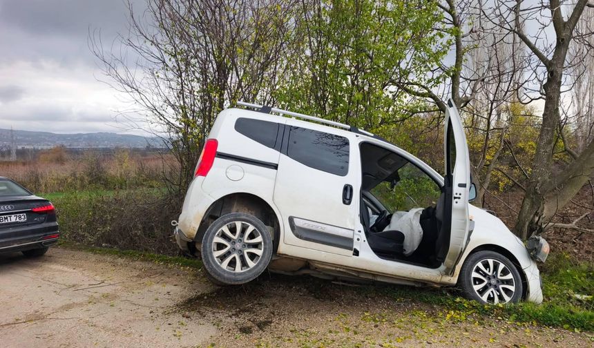 Yoldan çıkan otomobil ağaca çarptı: 2'si çocuk 4 kişi yaralandı