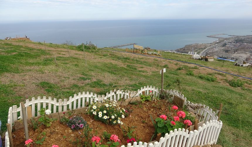 6 bin kişilik manzaralı mezar yerinin yüzde 95'i doldu