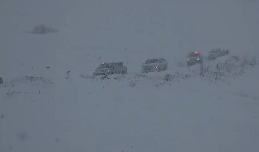 Artvin'in Ardanuç ilçesi Aksu Yaylası'nda çığ