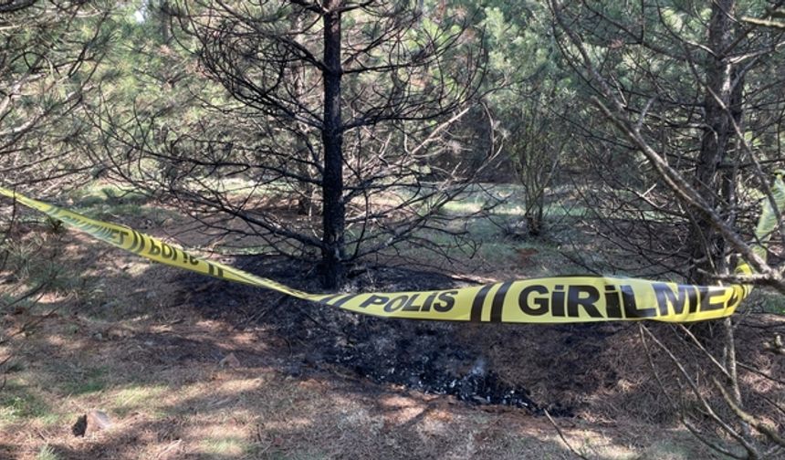 Vahşi cinayet zanlısı önce boğmuş sonra 2 gün art arda yakmış