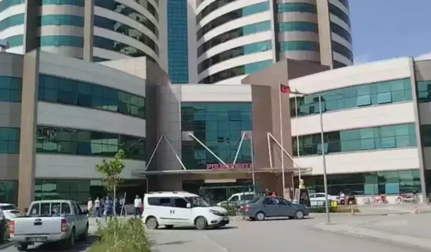 Köpeklerin saldırdığı 3 yaşındaki çocuk ağır yaralandı