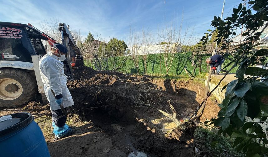 17 yıldır kayıp kadının cesedi eski eniştesinin bahçesinde bulundu