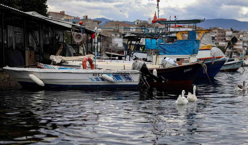 Bursa Büyükşehir Belediyesi'nden balıkçılara mazot desteği