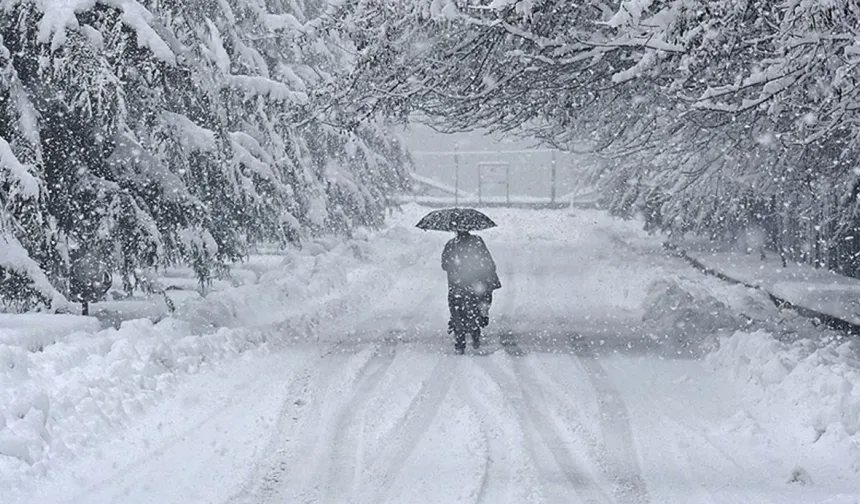 Japonya'da yoğun kar yağışında 35 kişi öldü, 358 kişi yaralandı