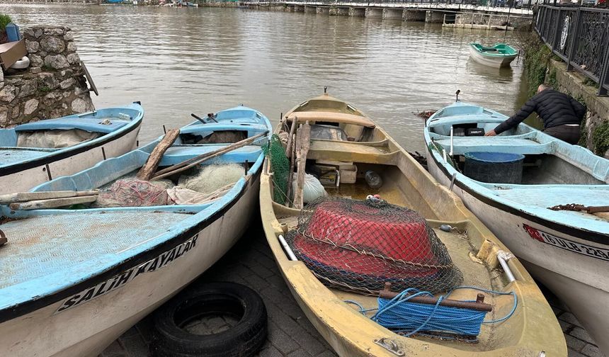 Uluabat Gölü'nden güzel haber