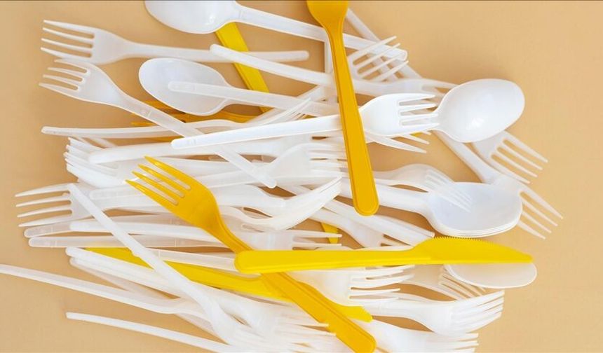 Tek kullanımlık Plastik çatal, tabak ve pipetler yasaklanıyor