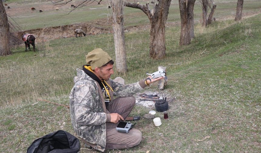 Dijital çoban!! Koyun sürüsünü dronle yönetiyor