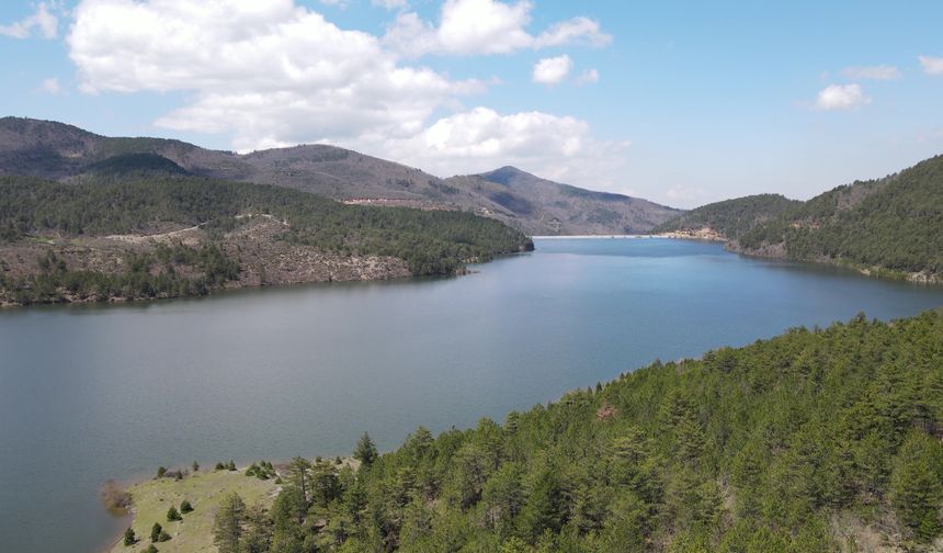 Son yağışlar Bursa'da barajları doldurdu, dereler coştu