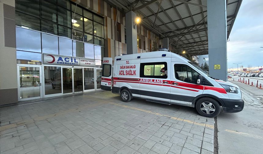 Van'da köpeklerin saldırdığı 5 yaşındaki çocuk hayatını kaybetti