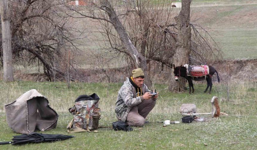 Dijital çoban!! Koyun sürüsünü dronle yönetiyor