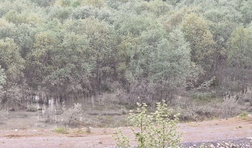 Düzce’de rafting botundan düşen kadının cansız bedeni bulundu