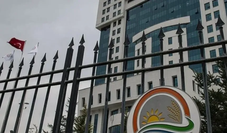 Tarım Bakanlığı açıkladı! Tahsildaroğlu peynirleri için toplatma kararı