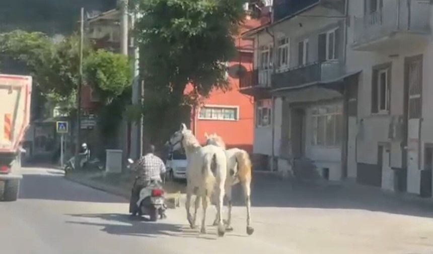 Kütahya'da atları motoruna bağladı, trafiğe çıktı