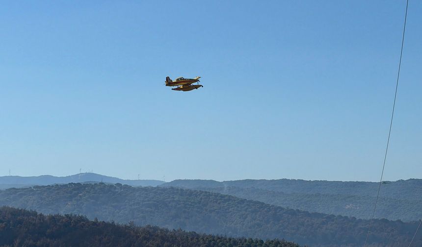 Gömeç, Ayvalık ve Bergama'daki yangın kontrol altına alındı
