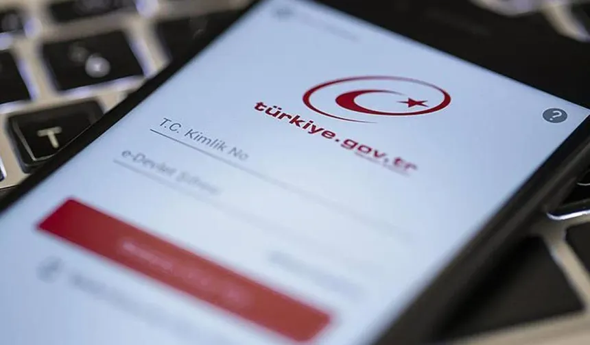 e-Devlet'te en çok kullanılan hizmet belli oldu