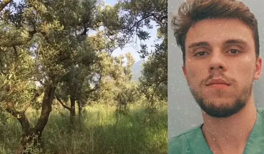 Bursa'yı yasa boğan ölüm! 24 yaşındaki genç zeytinlikte ölü bulundu