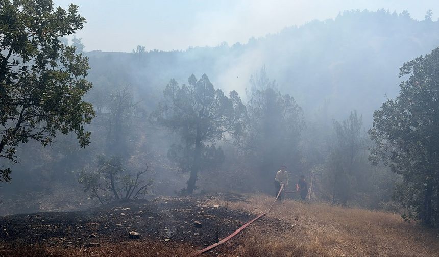 Bursa'da orman yangınına havadan ve karadan müdahale