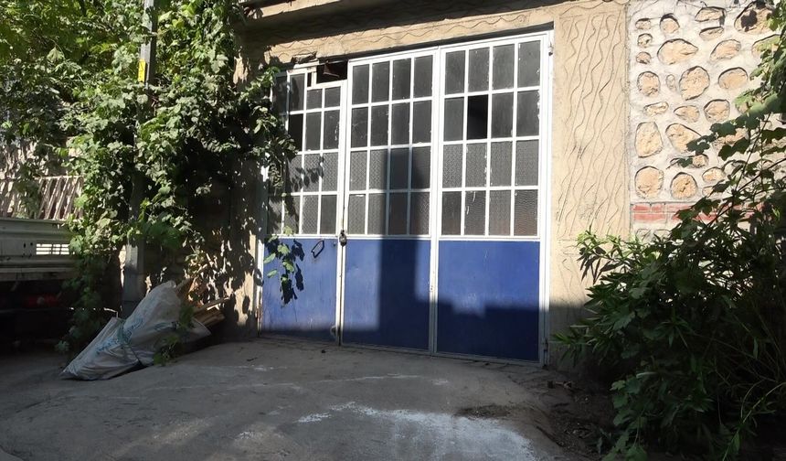 Mahalleyi pireler bastı! Apartmandan dehşet çıktı...