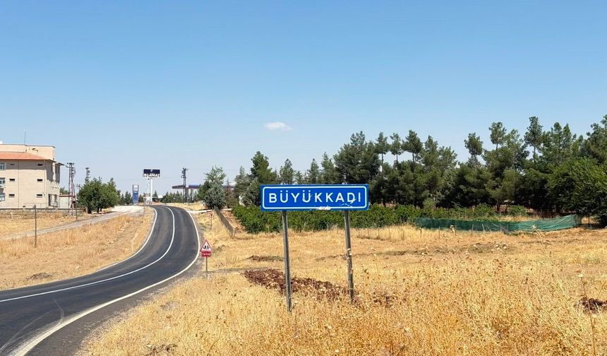 Diyarbakır'da kedinin ısırdığı çocuk entübe edildi, testi kuduz çıktı