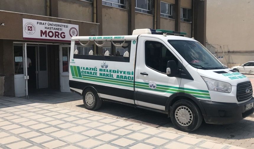 Ağıla kurt girdiğini zannedip ateş eden şahıs, eşini öldürdü