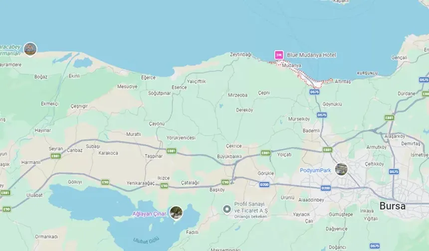 Vali Ayyıldız'dan Bursa'ya 600 bin kişilik yeni kent önerisi