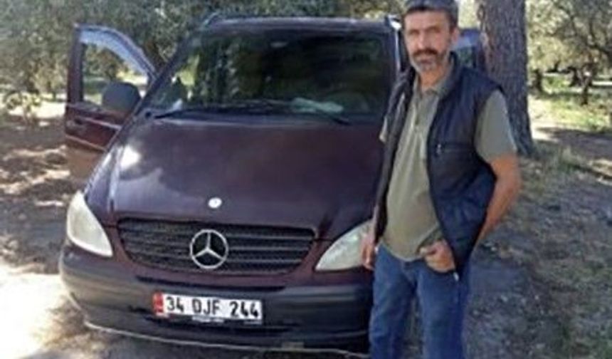Zeytin toplarken arı soktu hayatını kaybetti