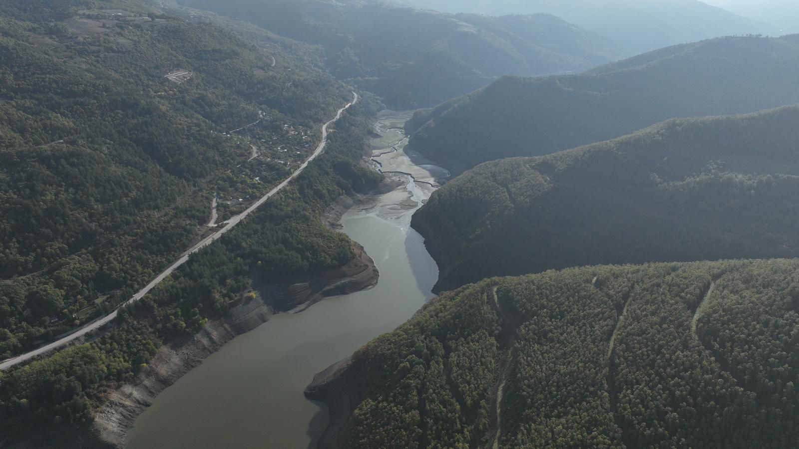 36233 M T Y4 Zj Yw O G 4