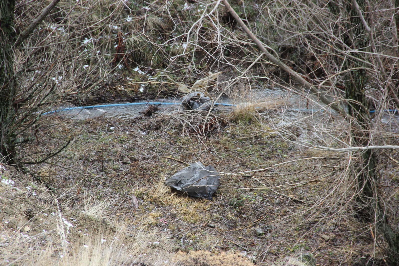 Whatsapp Image 2026 02 02 At 15.10.37