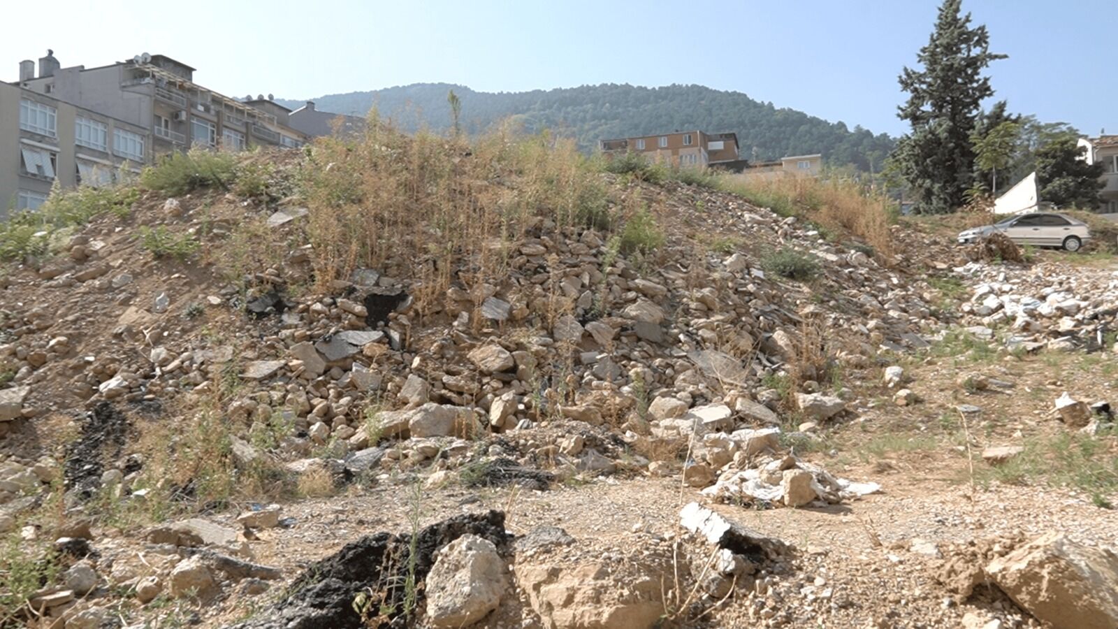 Whatsapp Image 2026 04 07 At 12.03.56 (1)