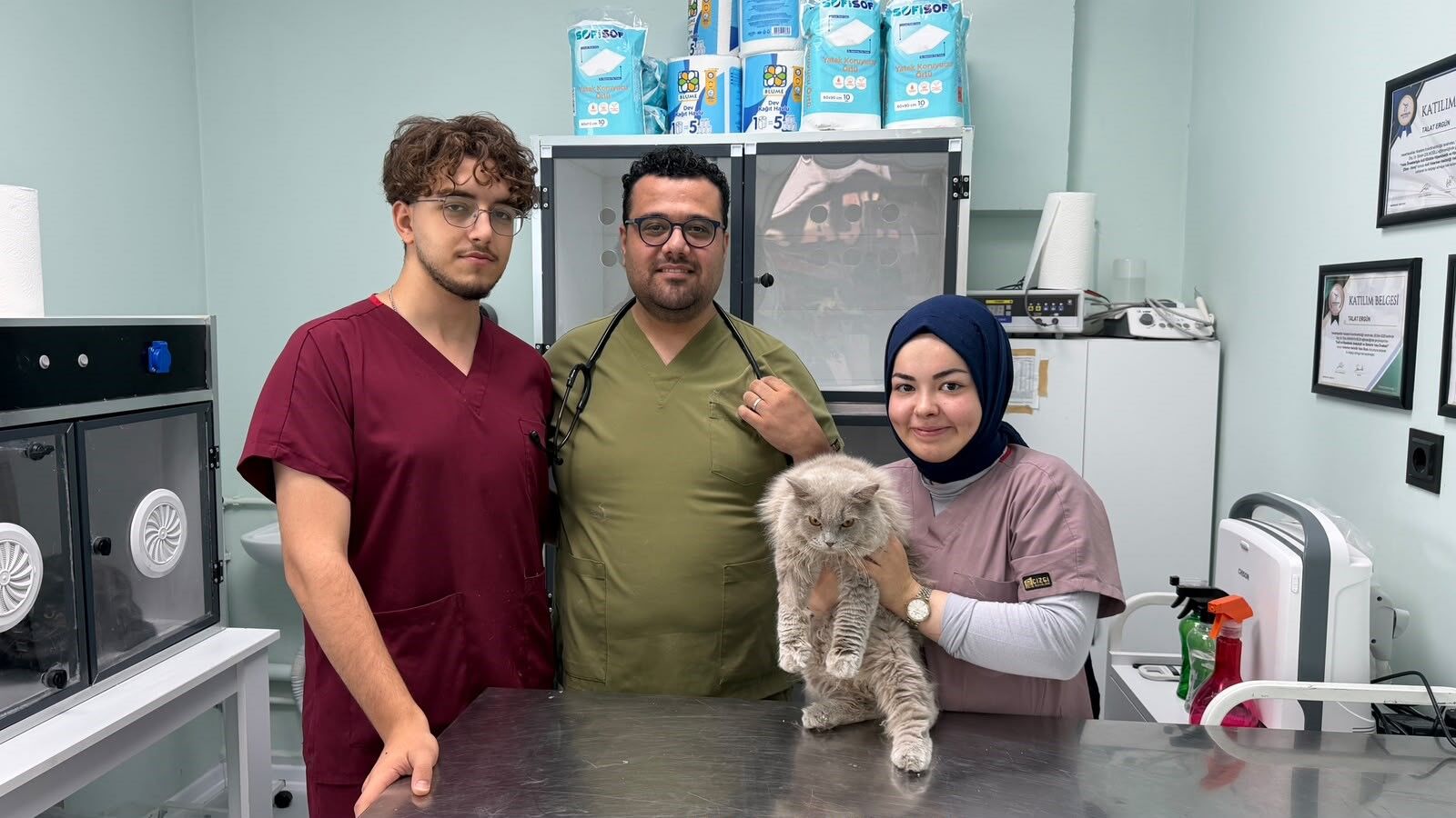 Bursa'da veterinerde deprem etkisi yapan kedi Türkiye'nin gündeminde