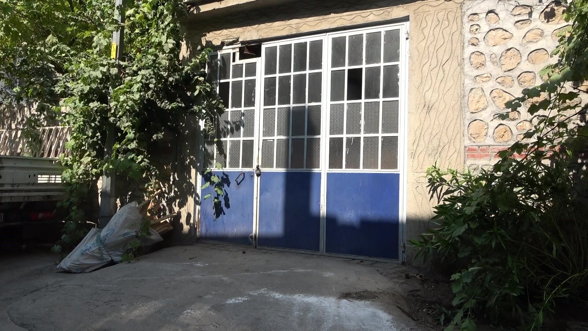 Mahalleyi pireler bastı! Apartmandan dehşet çıktı...